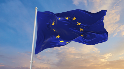 Submission in response to the Call for Evidence in connection with the development of the European Democracy Shield